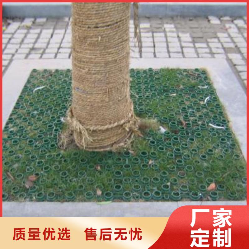 植草格城建土工膜专注质量