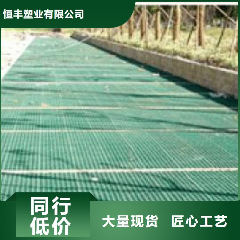 植草格双向拉伸塑料格栅市场报价