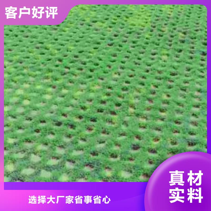 植草格防渗土工膜实地大厂