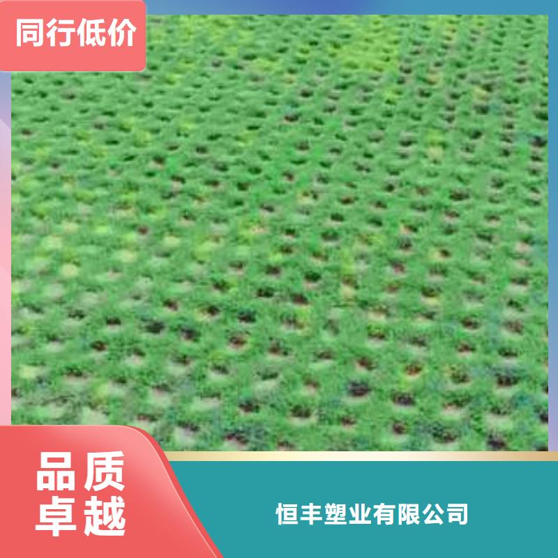 植草格,土工格室快速报价