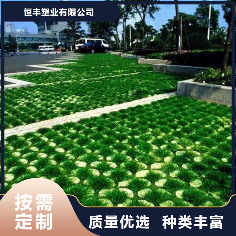 植草格塑料土工滤网经久耐用