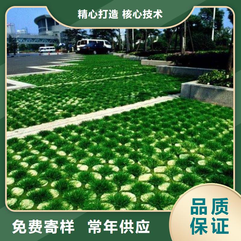 植草格塑料土工滤网经久耐用