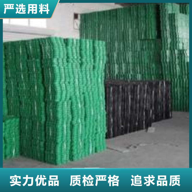 植草格塑料土工滤网自营品质有保障