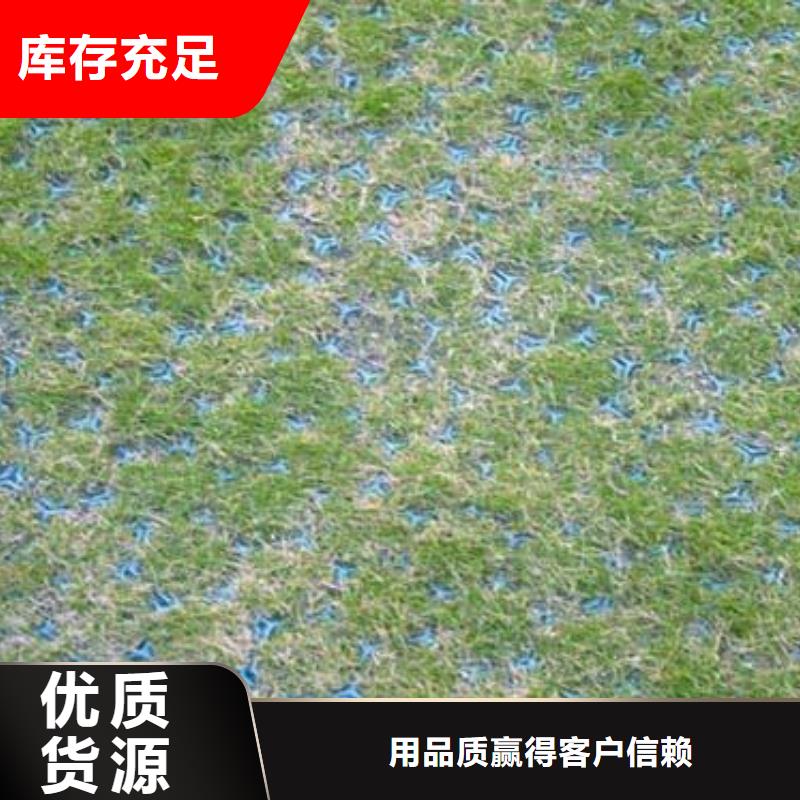 植草格【三维土工网垫】支持拿样