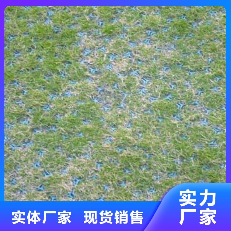 植草格_【双向拉伸塑料格栅】性能稳定