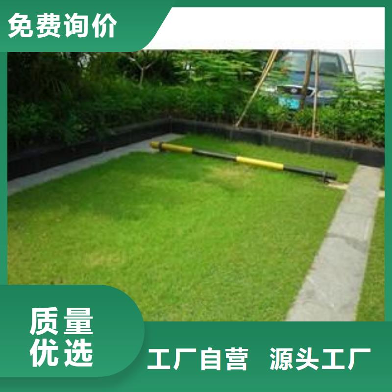 植草格双向拉伸塑料格栅厂家