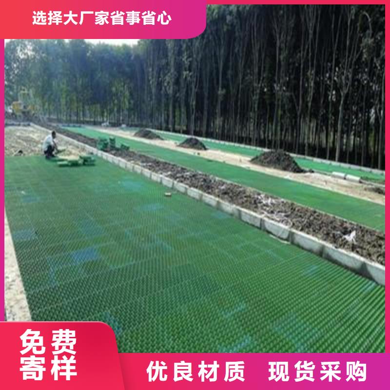 【植草格土工布实力大厂家】