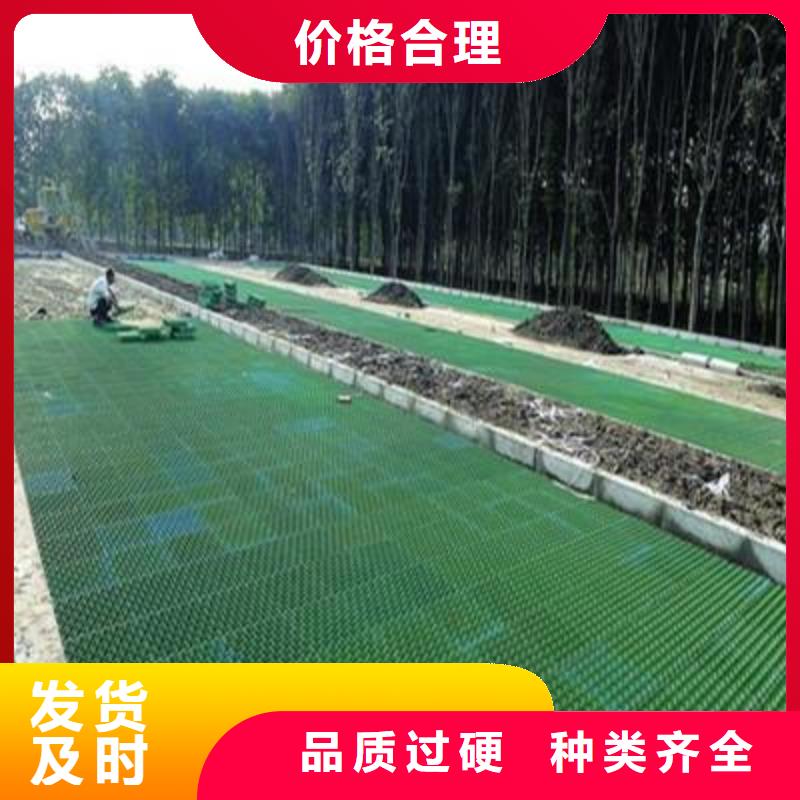 植草格,土工格室快速报价