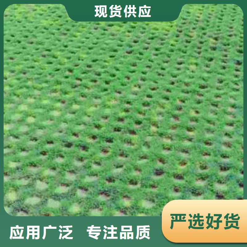 【植草格】毛细排水板丰富的行业经验