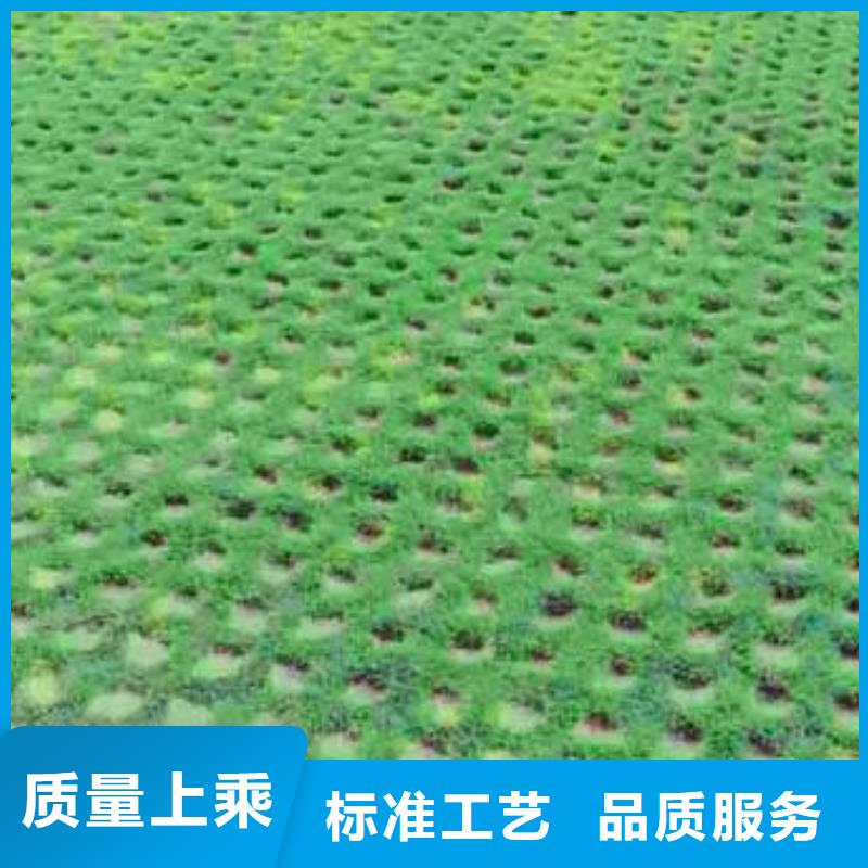 【植草格】软式透水管讲信誉保质量