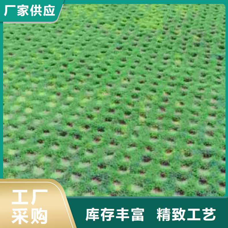 【植草格】加筋布厂家货源稳定