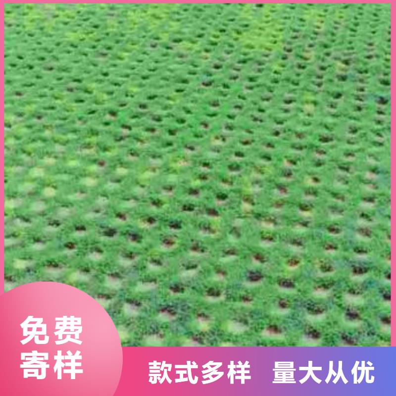 植草格【蜂巢格室】信誉至上