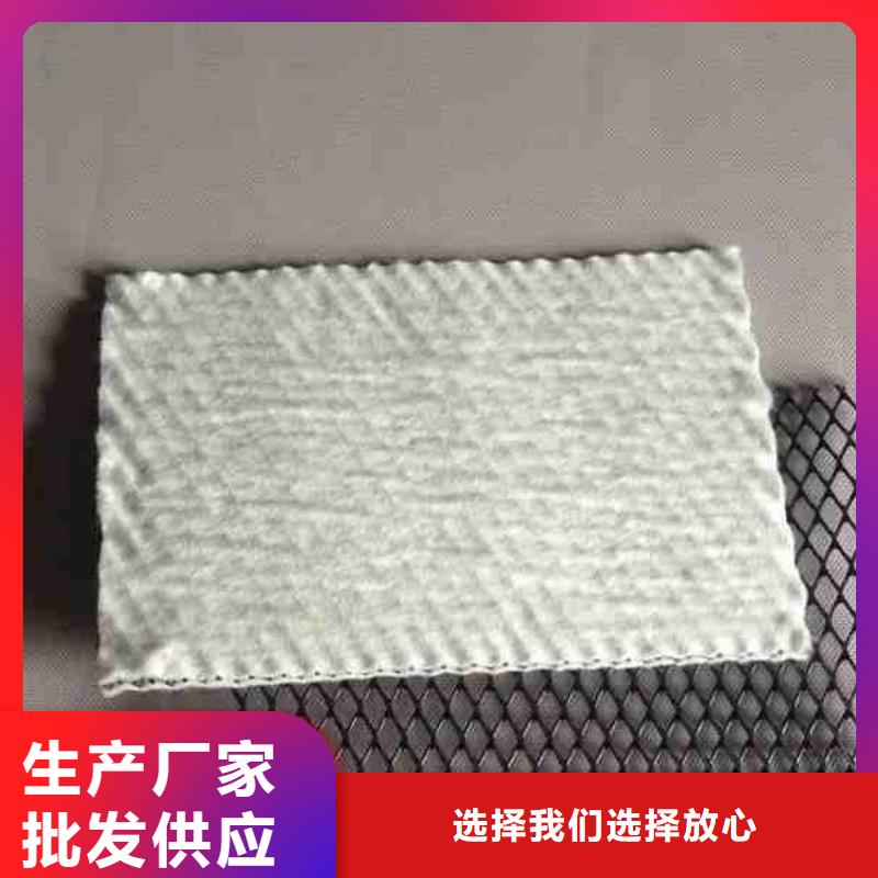 【三维复合排水网_长丝土工布严选用料】