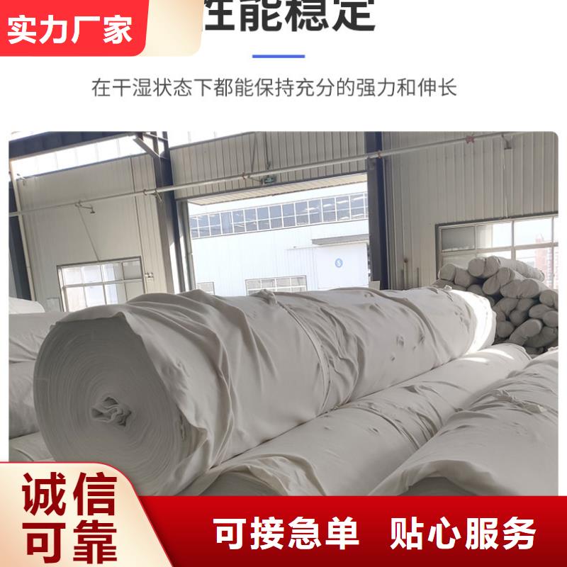 【土工布】双向塑料土工格栅拒绝中间商