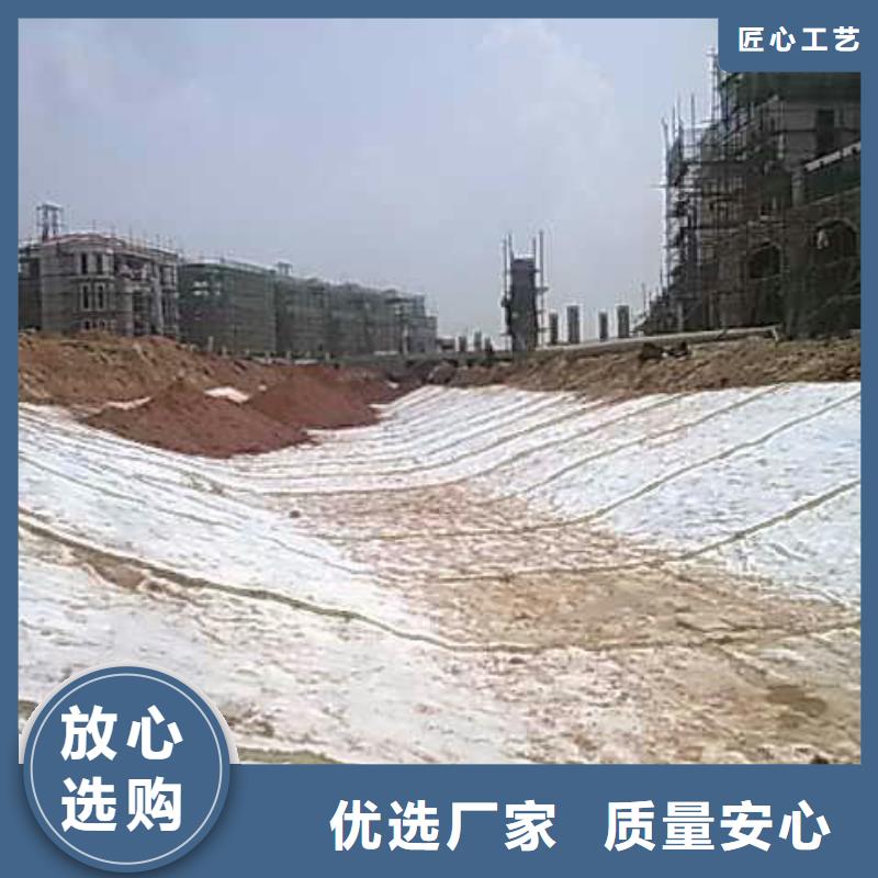 膨润土防水毯_双向塑料土工格栅现货