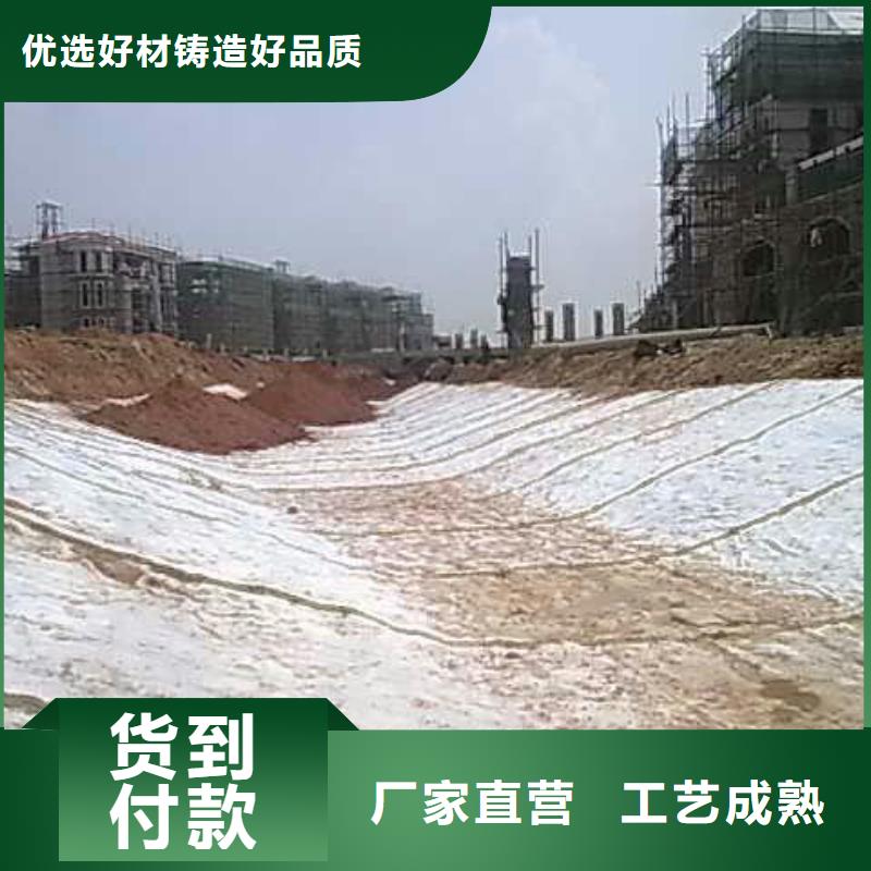 膨润土防水毯-双向塑料土工格栅批发供应