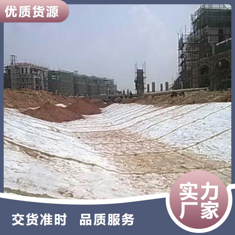 膨润土防水毯双向塑料土工格栅现货齐全售后无忧