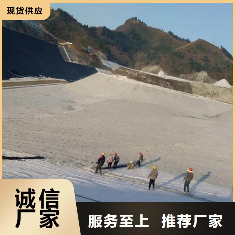 膨润土防水毯-双向塑料土工格栅批发供应