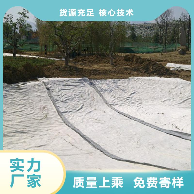 膨润土防水毯钢塑土工格栅多种款式可随心选择