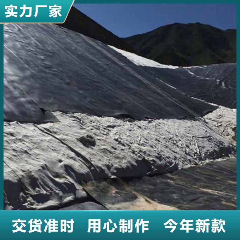 土工膜【凸结点钢塑土工格栅】规格齐全