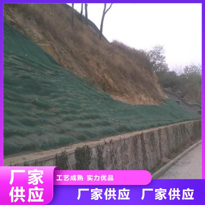 三维植被网【护坡土工网】实地大厂