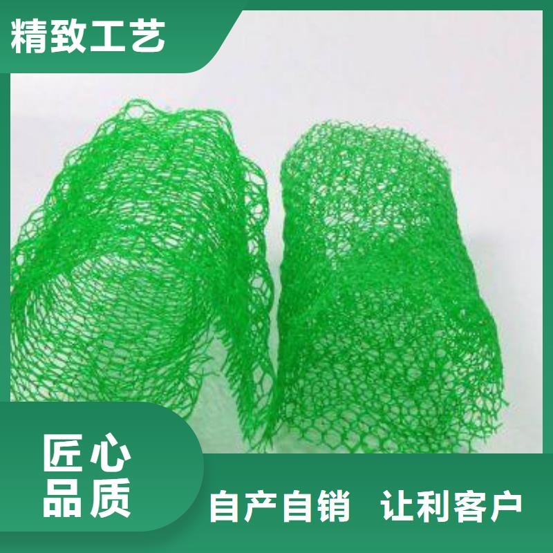 【三维植被网玻纤土工格栅海量库存】