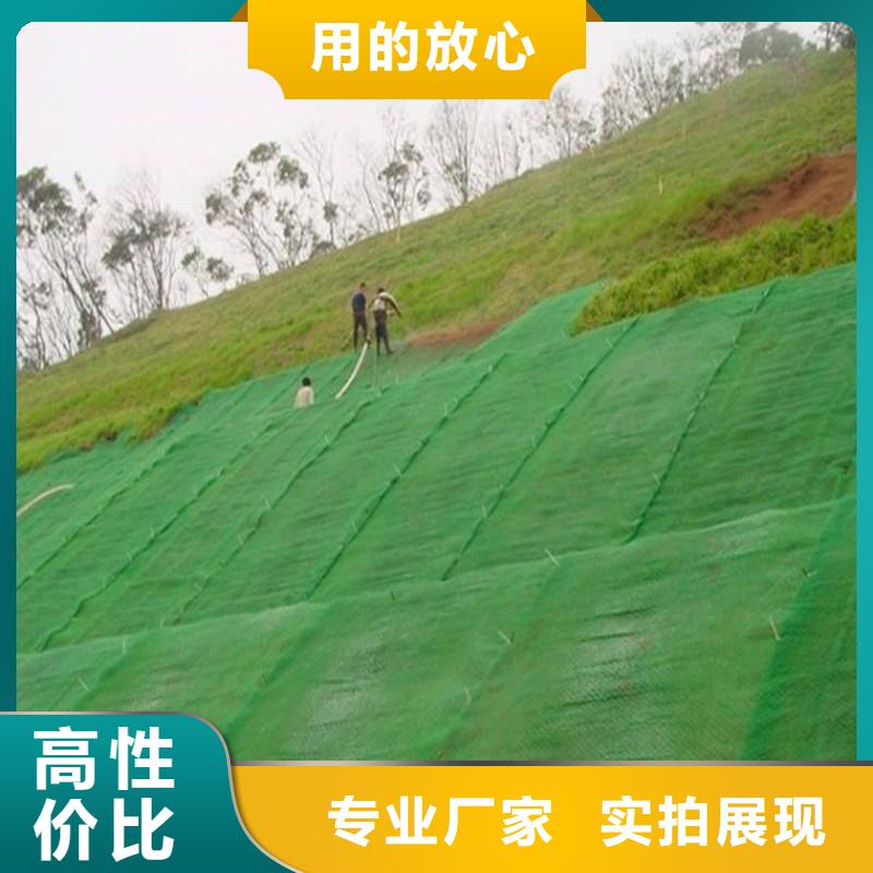 三维植被网凸结点钢塑土工格栅精致工艺