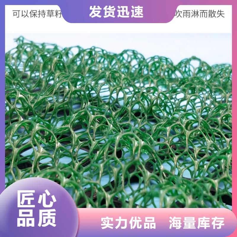 【三维植被网,钢塑土工格栅欢迎来厂考察】