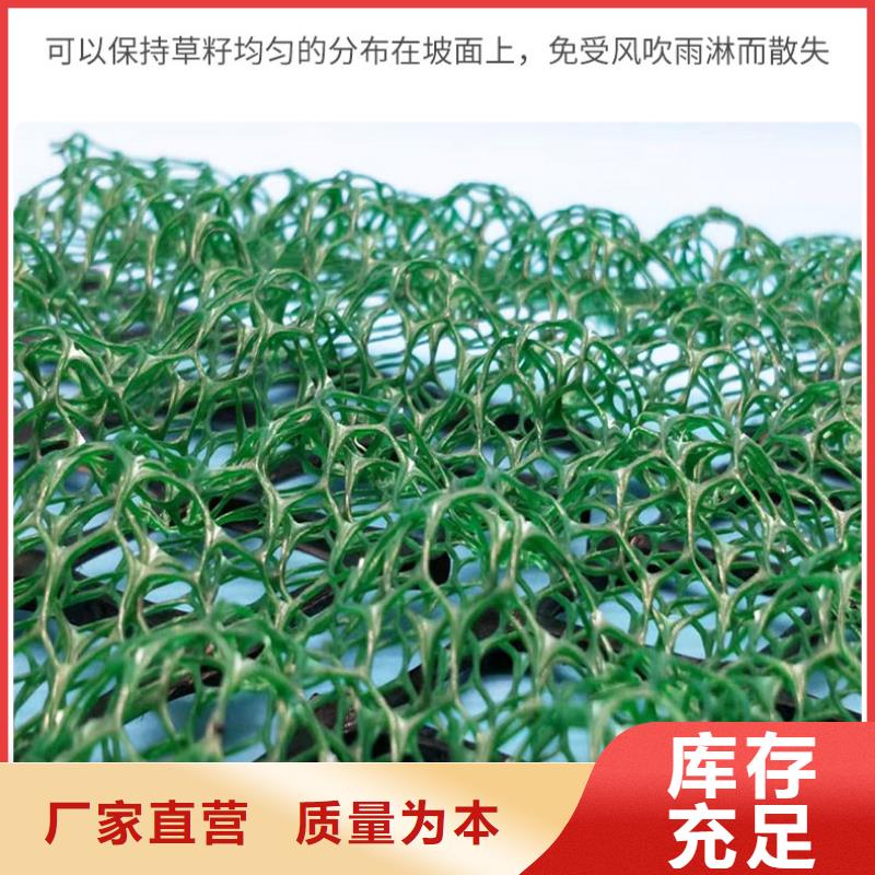 三维植被网塑料土工滤网诚信经营现货现发