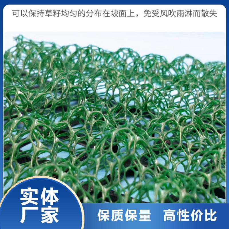 三维植被网-【复合土工膜】销售的是诚信