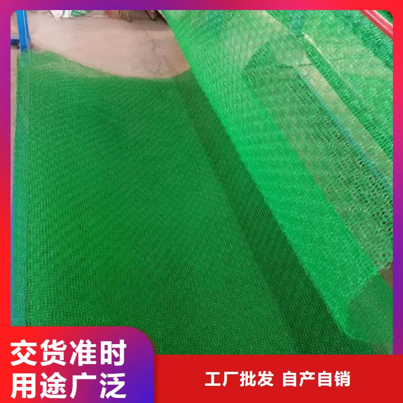 三维植被网【塑料土工格栅】现货直供