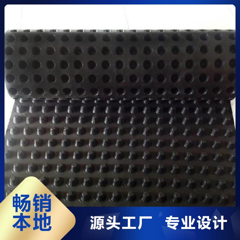 塑料排水板-HDPE土工膜专业的生产厂家