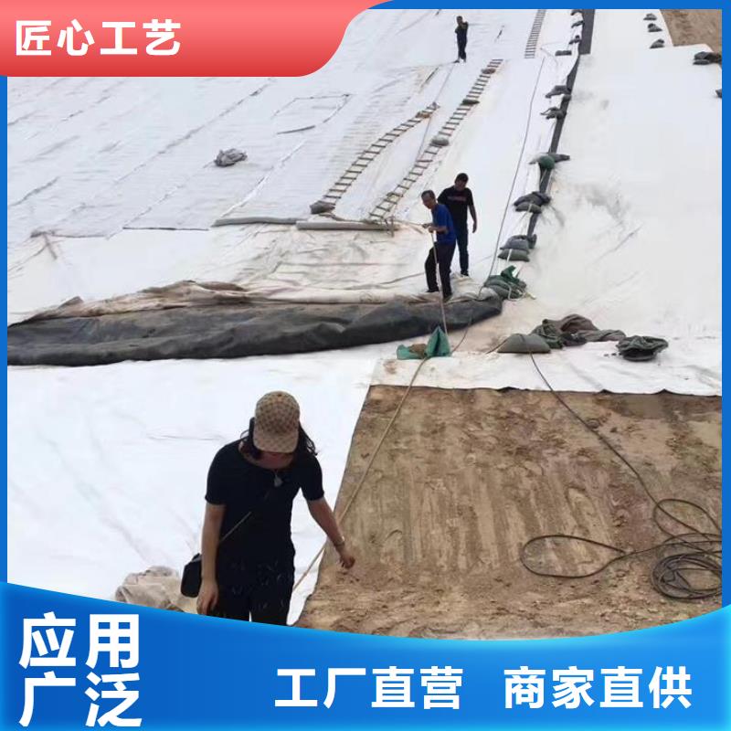 三维复合排水网透水土工布经销商