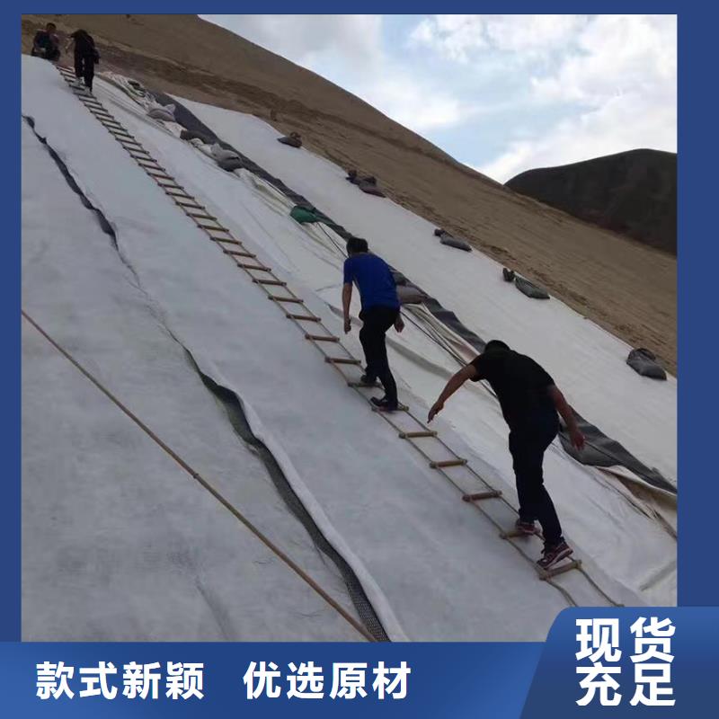 【三维复合排水网】土工布定制零售批发