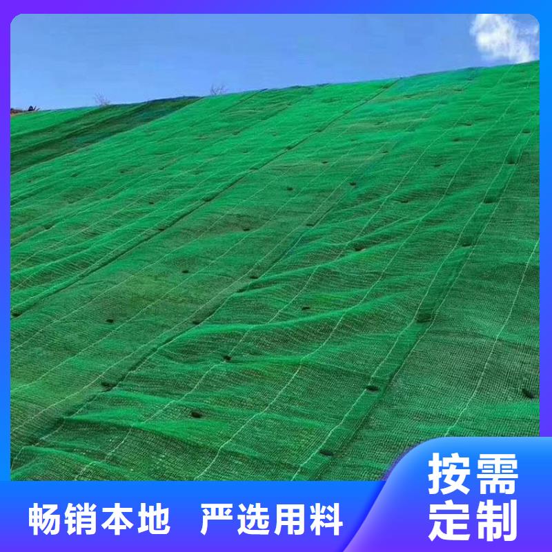 三维植被网【短丝土工布】源头工厂量大优惠