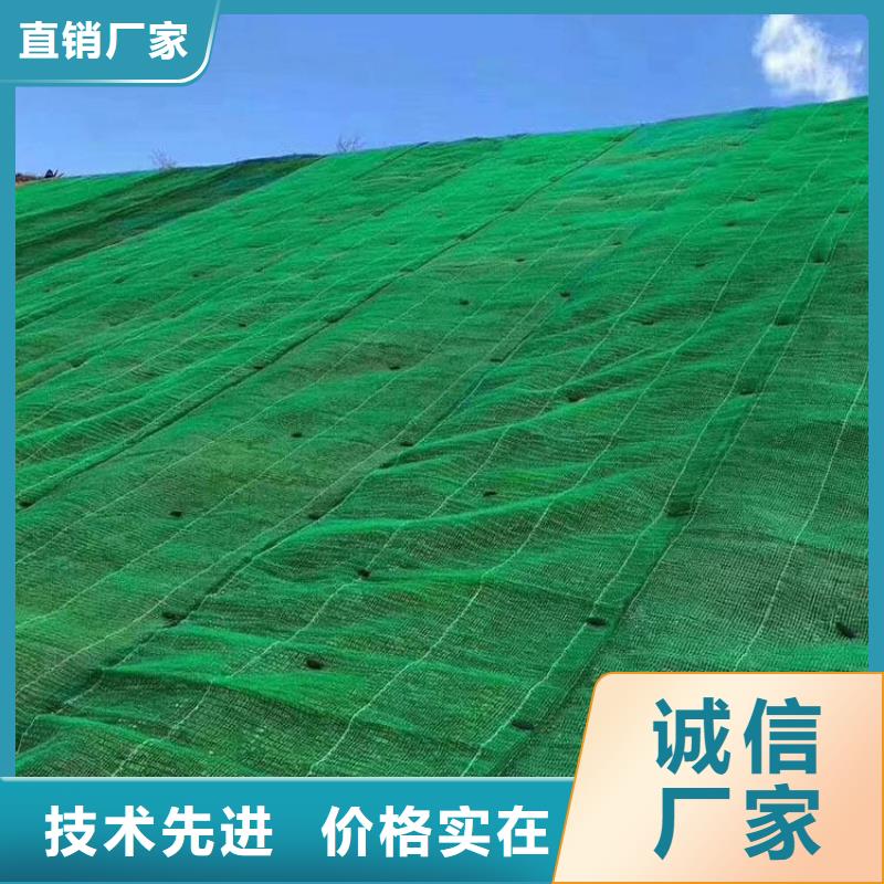 三维植被网【双向塑料格栅】支持加工定制