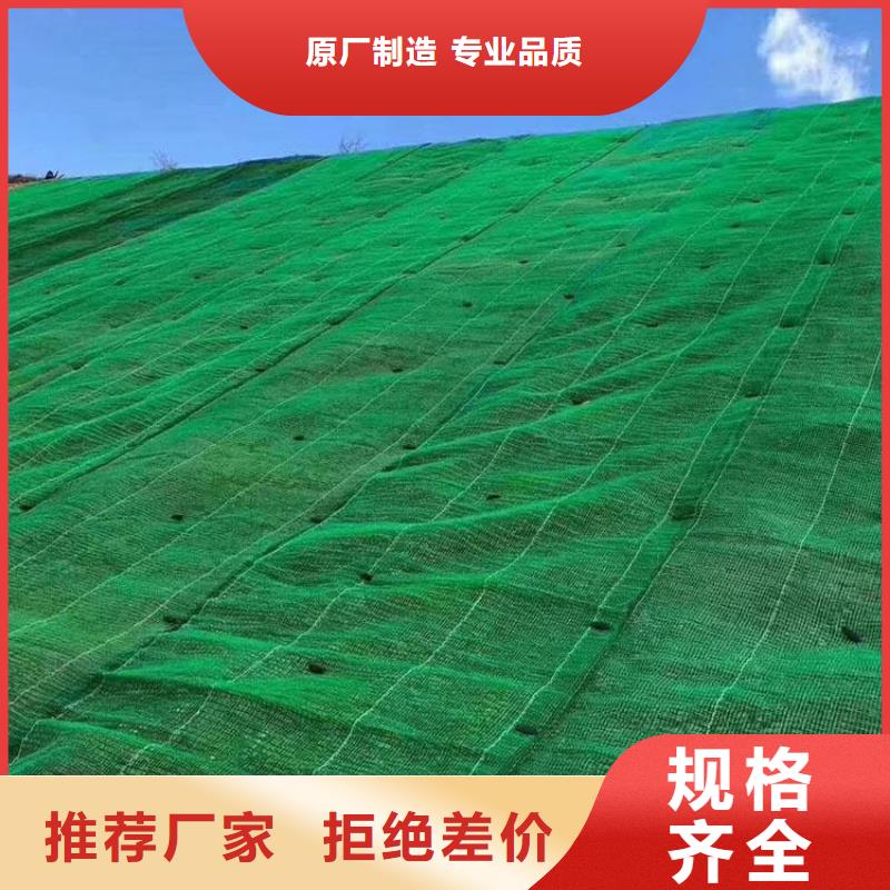 三维植被网【双向塑料格栅】支持加工定制