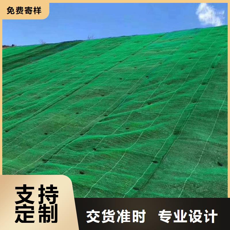 三维植被网【双向塑料格栅】支持加工定制