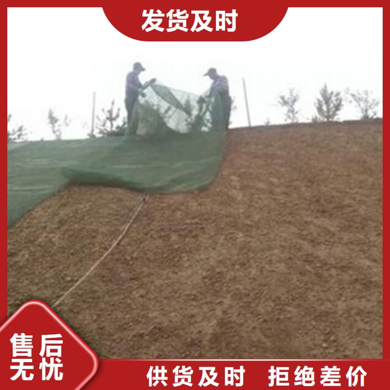 三维植被网_土工布实体诚信经营