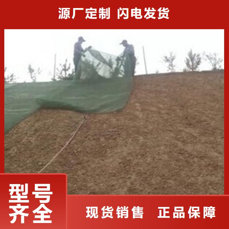 三维植被网【双向塑料土工格栅】厂家直销省心省钱