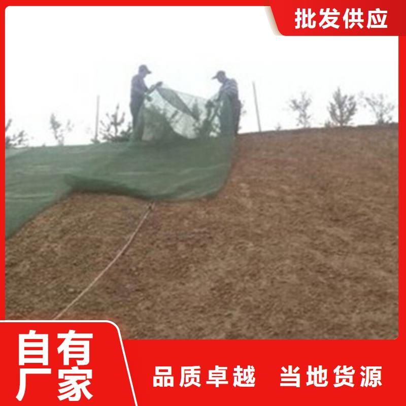 三维植被网_护坡土工网超产品在细节