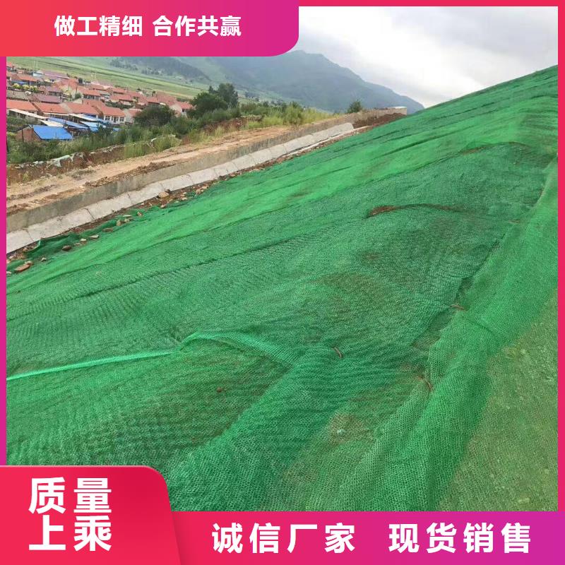 三维植被网凸结点钢塑土工格栅专注生产N年