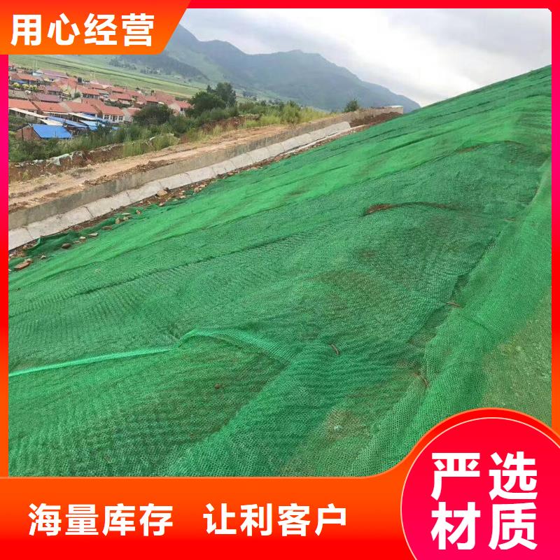 【三维植被网双向塑料格栅厂家工艺先进】