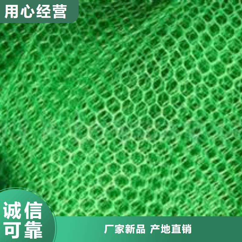三维植被网-透水土工布工厂认证