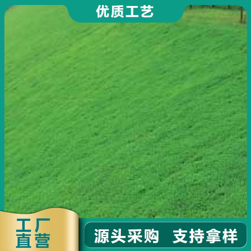 【三维植被网双向塑料格栅厂家工艺先进】