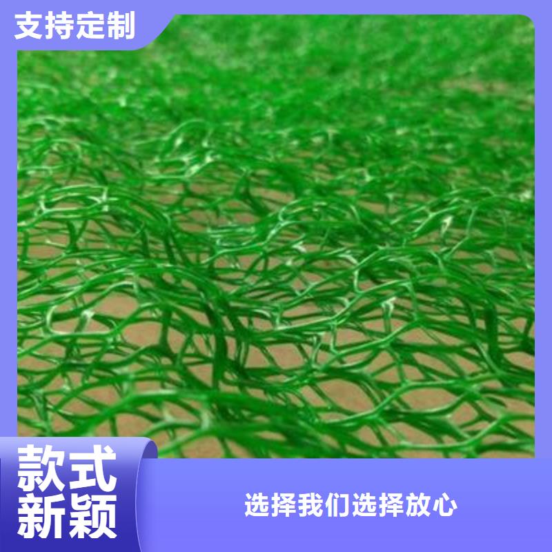 【三维植被网】-膨润土防水垫选择大厂家省事省心