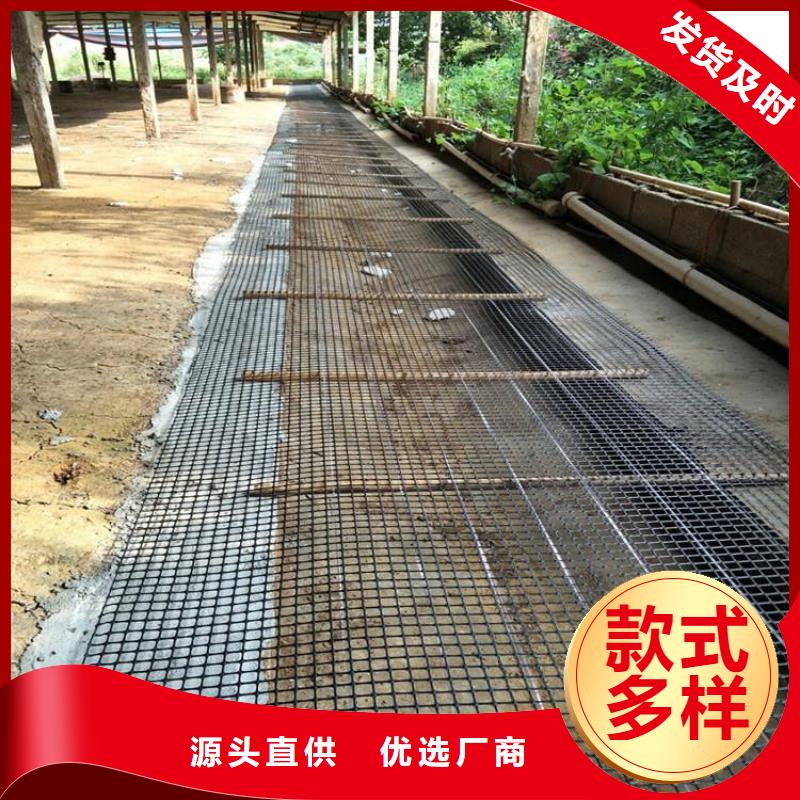 双向塑料土工格栅三维植被网质检合格发货