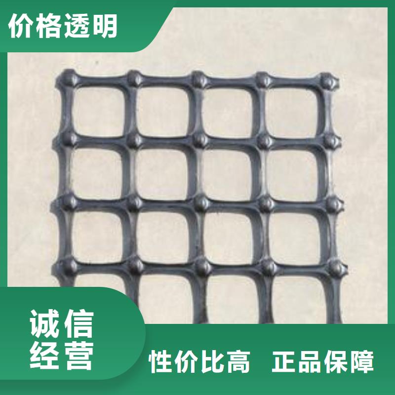 双向塑料土工格栅三维植被网质检合格发货