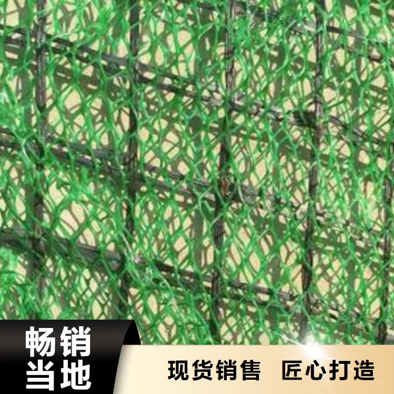 三维植被网涤纶土工格栅出厂严格质检