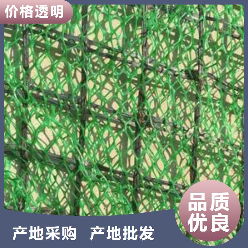 三维植被网,双向拉伸土工格栅库存量大